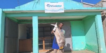 Actividades da cooperativa VIVAMAR